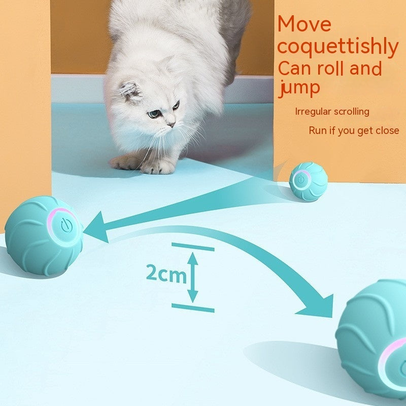 Interactive Rolling Ball Cat Toy (USB)