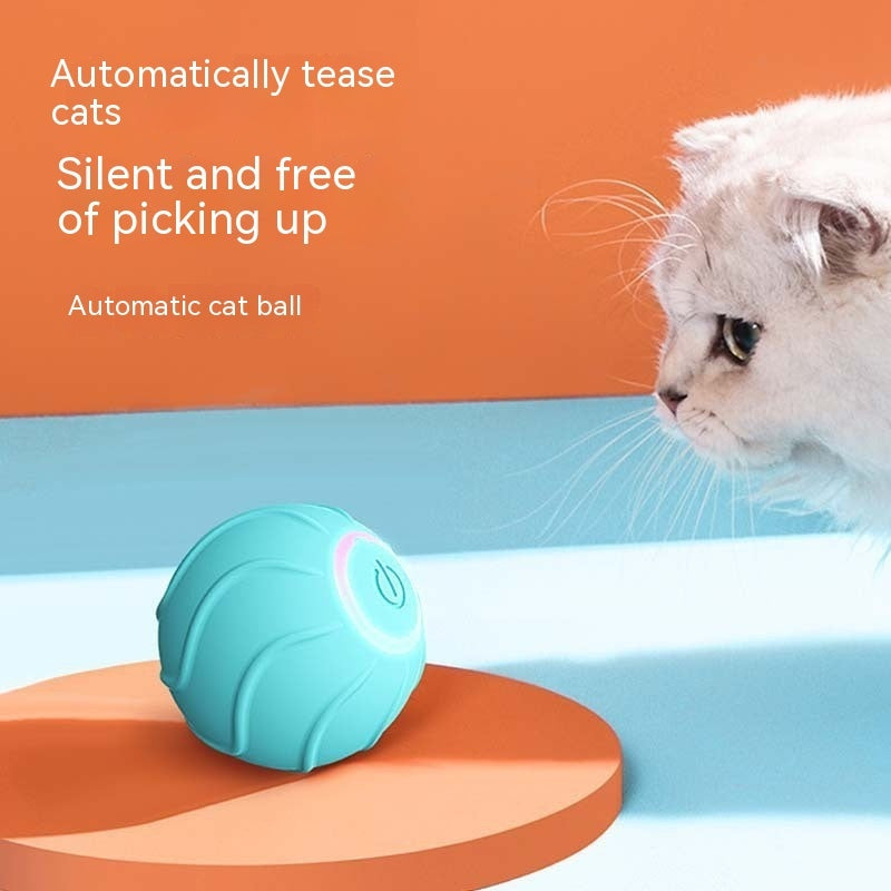 Interactive Rolling Ball Cat Toy (USB)
