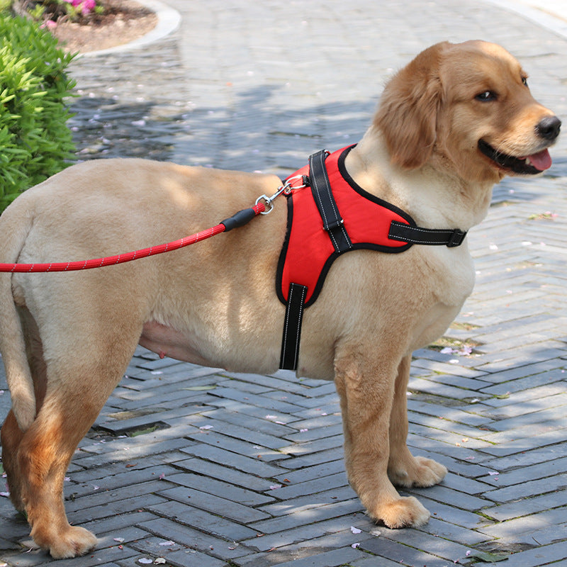 Reflective Padded Dog Harness Vest – Strong & Comfortable