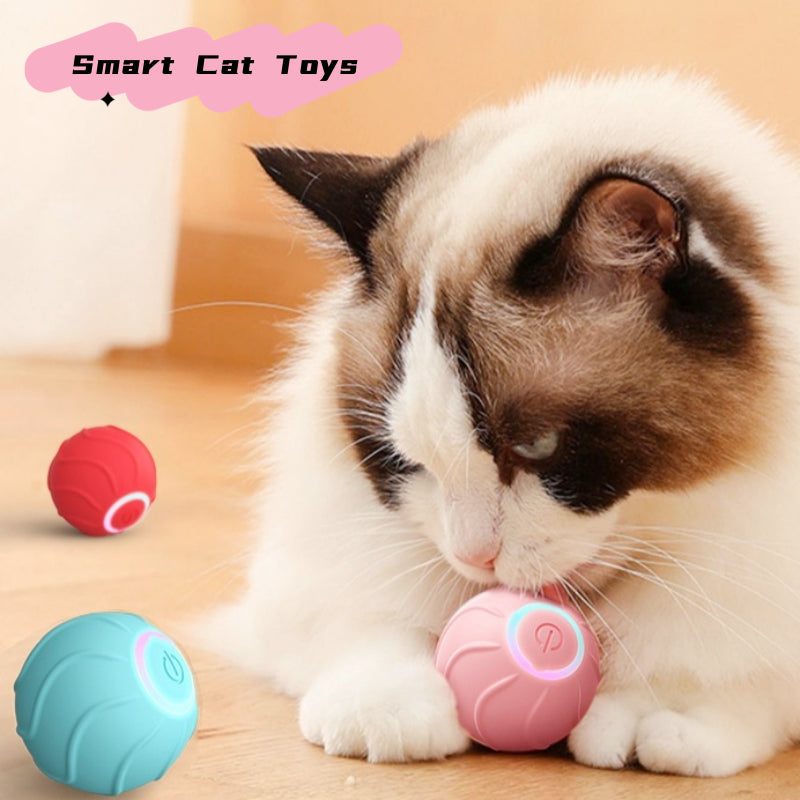 Interactive Rolling Ball Cat Toy (USB)