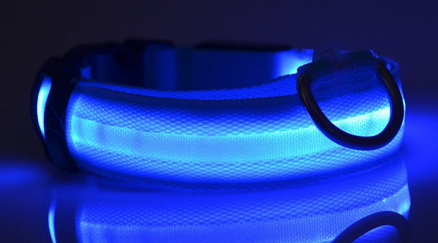 LED Luminous Pet Collar – Night Safety & Adjustable