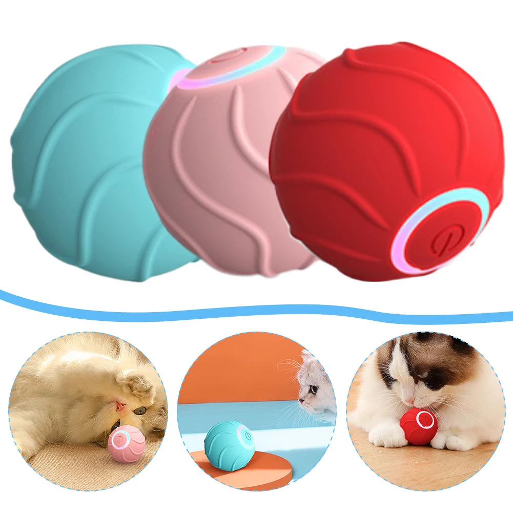 Interactive Rolling Ball Cat Toy (USB)